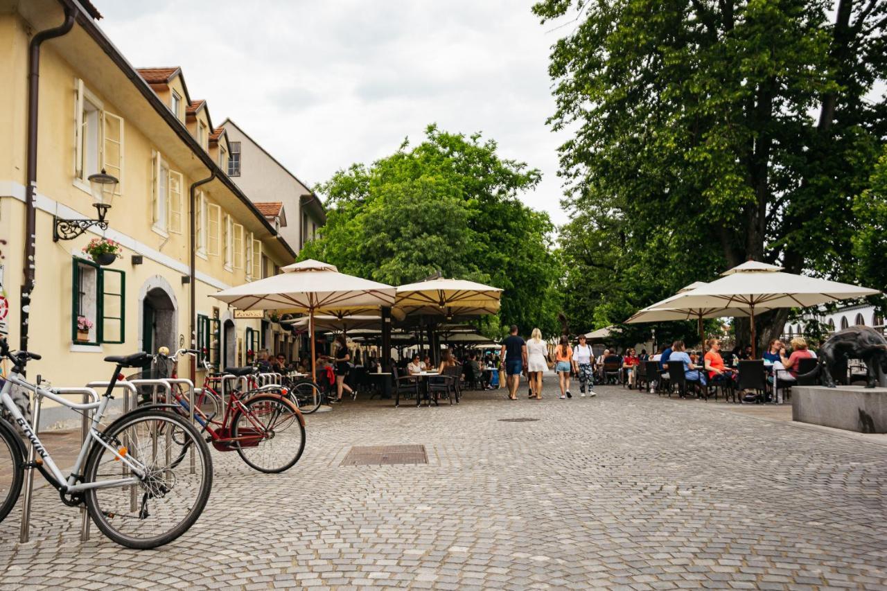 Апартаменты 150 Steps To The Main Square Любляна Экстерьер фото